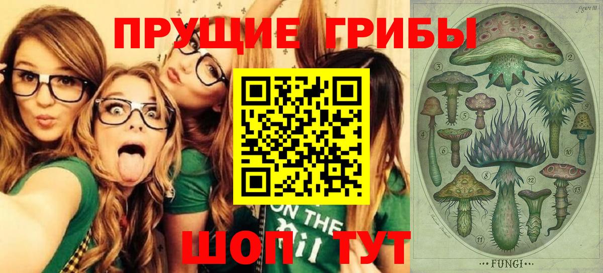 как найти закладки  Псилоцибиновые грибы Cubensis  Вход с VPN  Ноябрьск  Псилоцибиновые грибы мицелий 